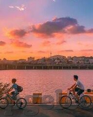 369足球比分直播-369足球比分直播,球迷的实时赛场伴侣
