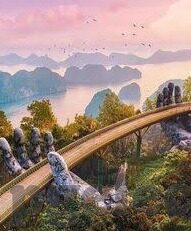 大赢家体育足球即时比分-大赢家体育足球即时比分,球迷的实时战场指南