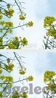 足球5月30日足球比分-5月30日足球比分,绿茵烽火中的激情与悬念