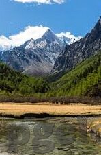 足球比分mianfei-探秘足球世界,免费获取实时比分,畅享绿茵激情